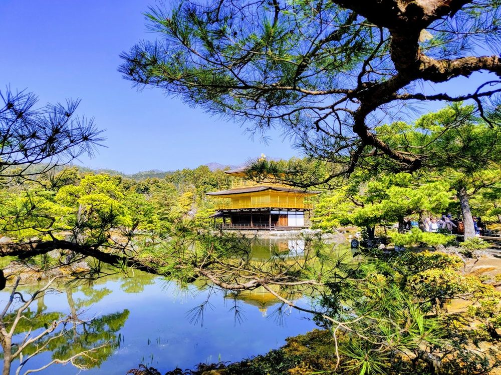 ViaggioAC Hanami2019 ViaggioAC Hanami2019